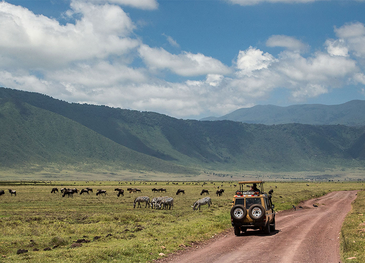 10-days-kenya-tanzania-amazing-wildlife-safari