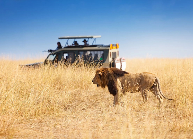 4-days-lake-naivasha-masai-mara-game-reserve-safari